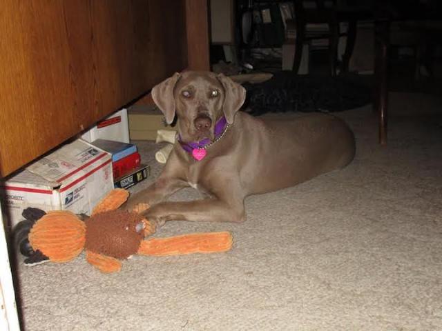 Jill with new toy